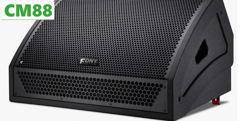 Giới thiệu tổng quan về loa sub SUIM CM88